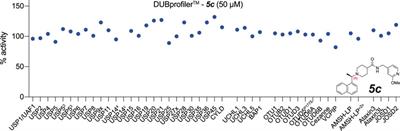 Insights Into Drug Repurposing, as Well as Specificity and Compound Properties of Piperidine-Based SARS-CoV-2 PLpro Inhibitors